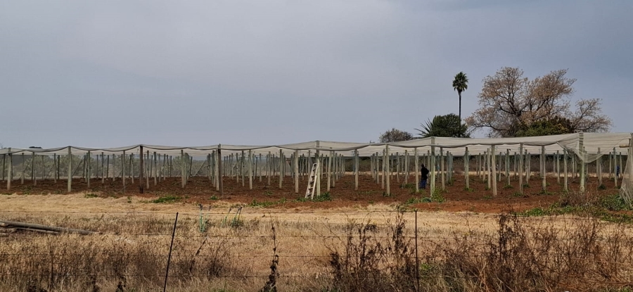 Commercial Property for Sale in Bainsvlei Free State